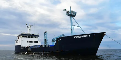 Ocearch